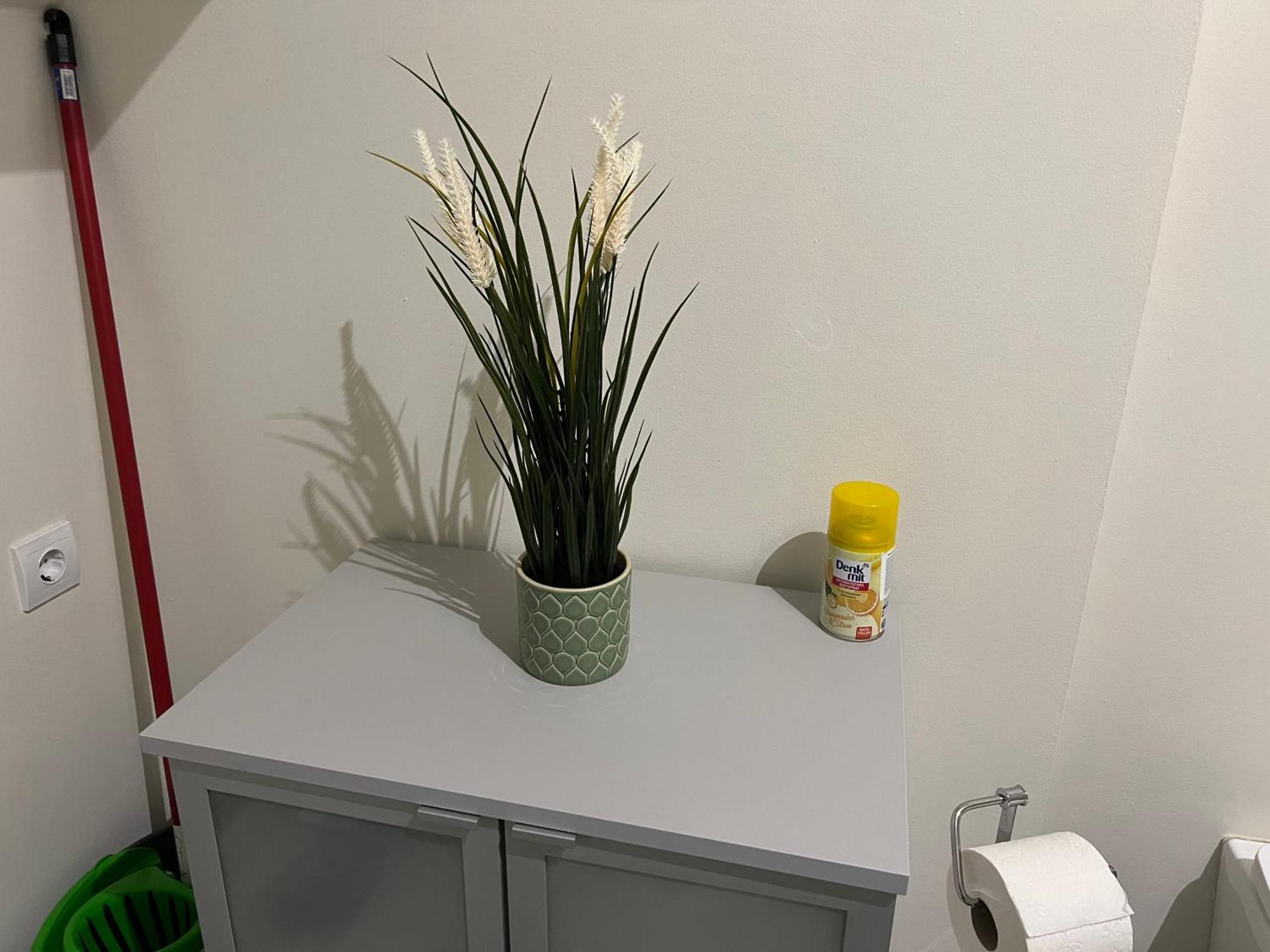 Buekkoes Apartman Apartment Szentendre Ngoại thất bức ảnh